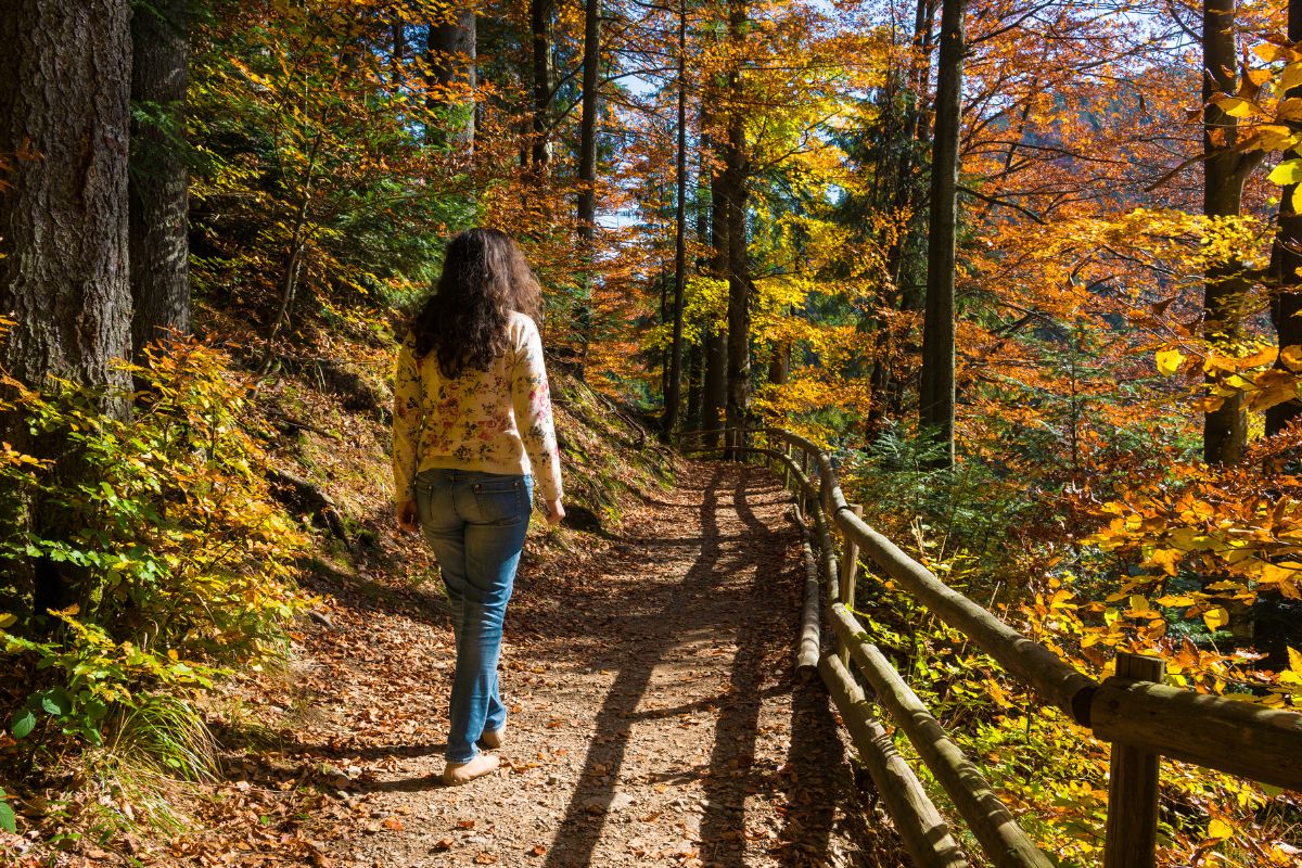 A person walking alone on a forest trail with hands loosely clasped in a contemplative walking prayer