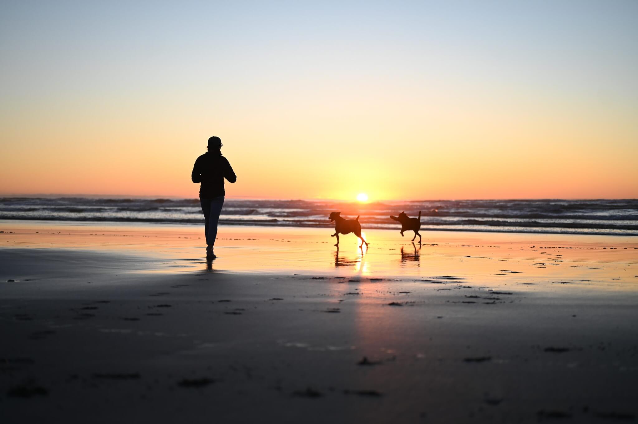 A person walking alone on a quiet beach at dusk with a calm ocean and soft clouds, contemplative mood