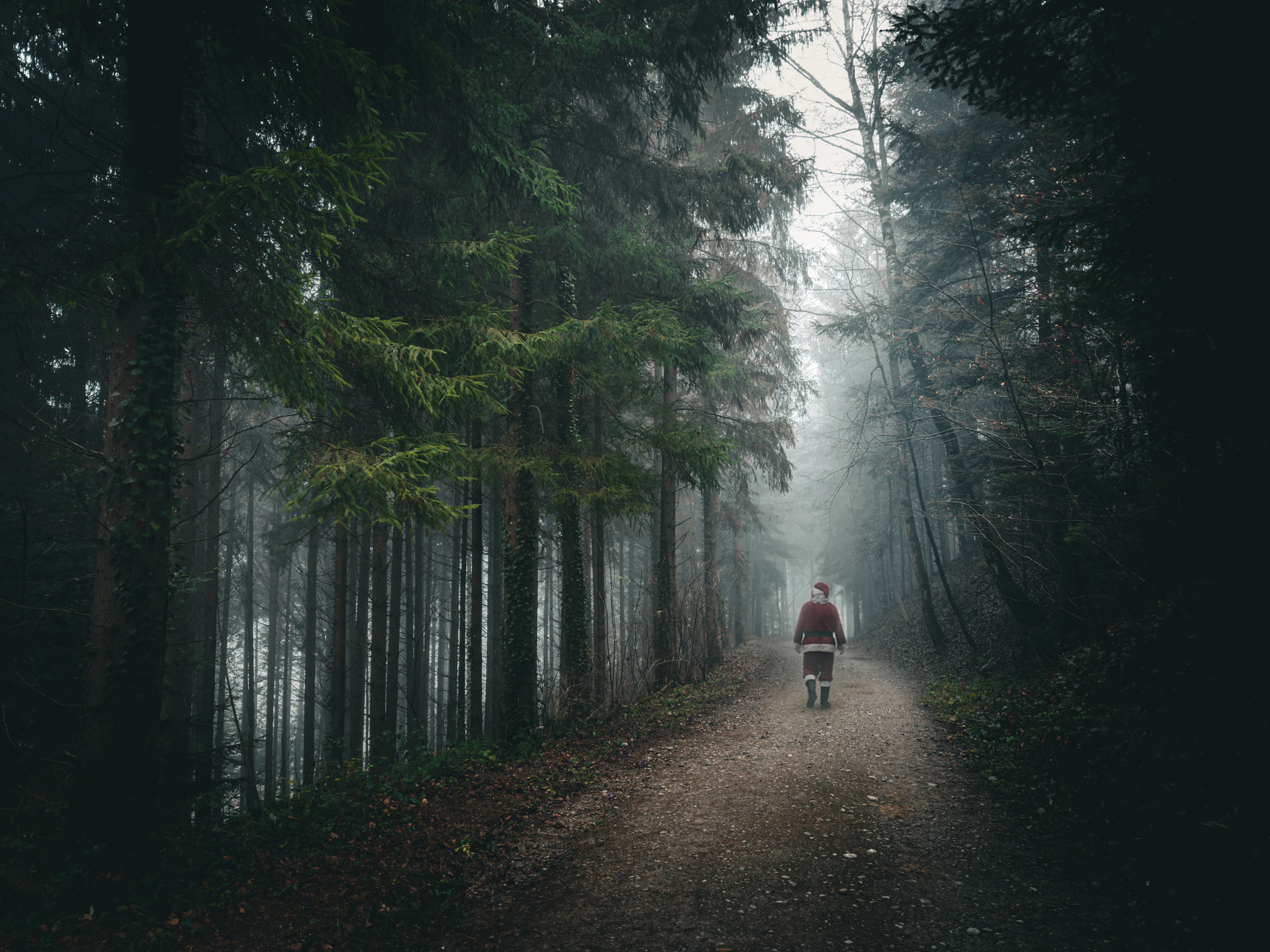 A person walking alone on a quiet forest path in early morning, hands in pockets, surrounded by tall trees and soft mist