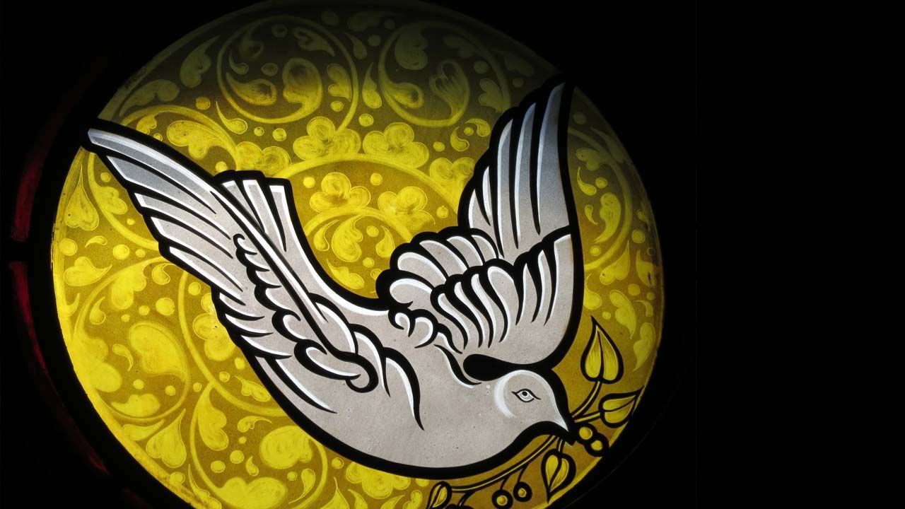 A photograph of a church stained-glass window featuring a white dove with radiant light streaming through colorful panes
