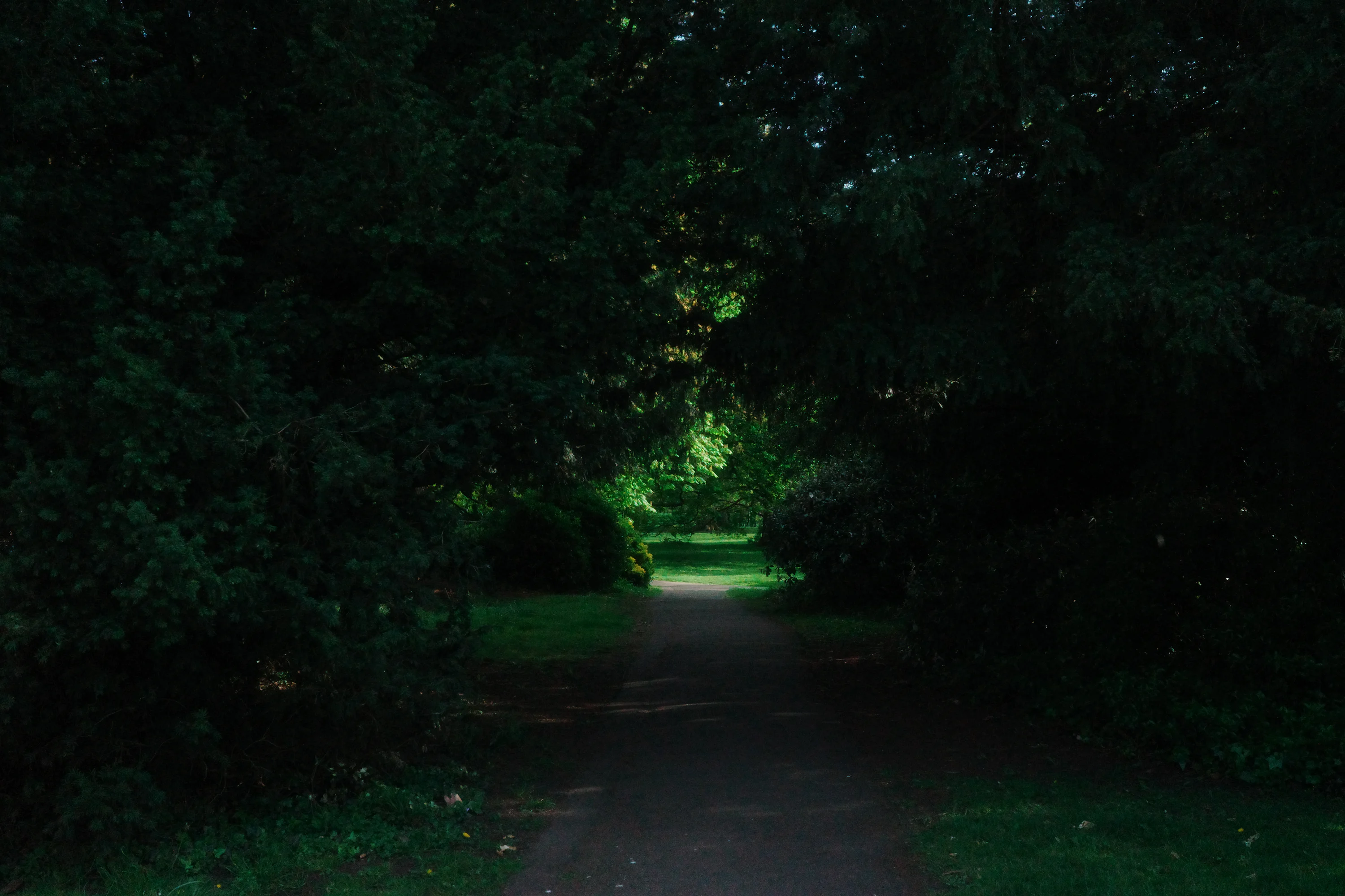 A quiet forest path at dusk with warm light filtering through tall trees, inviting a slow, peaceful walk